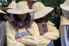 4502c76a-0a1b-4bbf-a967-500ec7a7e346