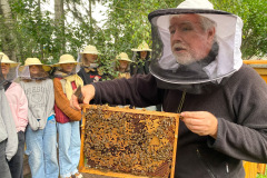 4b5d77a0-8da0-43d5-b681-efe806ccb623