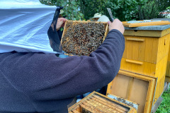 932eb37b-d58a-472d-9793-0534864016ac