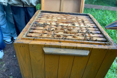 9a3911f7-7b11-4e91-944a-3ed244515c18