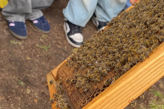 d575b58c-9434-4185-9202-3248f78db9d7