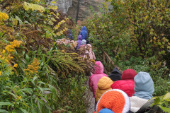 IMG_20211018_091643