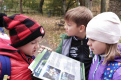 IMG_20211018_120653