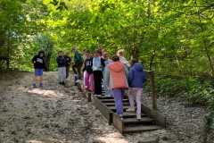 PHOTO-2024-11-19-11-44-56