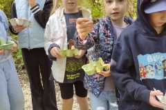 PHOTO-2024-11-19-11-44-57