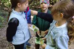 PHOTO-2024-11-19-11-45-10-2