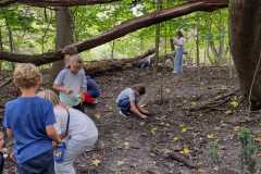 PHOTO-2024-11-19-11-55-56