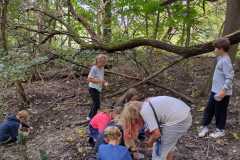 PHOTO-2024-11-19-11-55-57-2