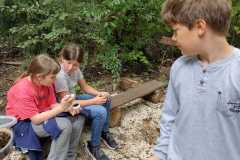 PHOTO-2024-11-19-11-55-57