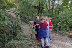 PHOTO-2024-11-19-12-22-04