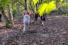 PHOTO-2024-11-19-12-22-59-4