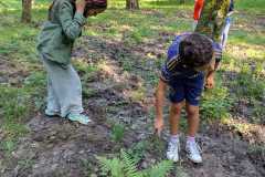 PHOTO-2024-11-19-12-23-00-2