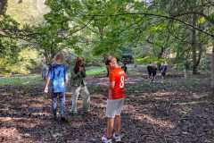 PHOTO-2024-11-19-12-23-00-3