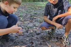 PHOTO-2024-11-19-12-23-00-4