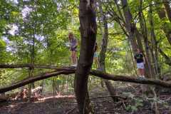 PHOTO-2024-11-19-12-23-00