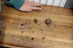 PHOTO-2024-11-19-12-28-18