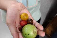 PHOTO-2024-11-19-12-28-25