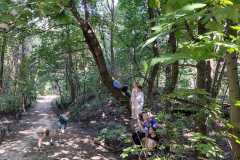 PHOTO-2024-11-19-12-39-22-2