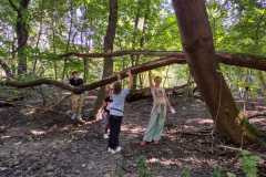 PHOTO-2024-11-19-12-39-22