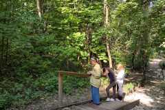 PHOTO-2024-11-19-12-39-23