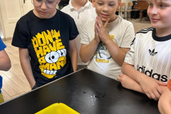 394cceb1-fedc-4238-82a1-60d276c78a93