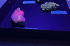 4c80dc0c-c945-4c17-88b4-0db48e231e88