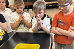 fa91f411-e106-4548-b94e-3df91bf0bb9e