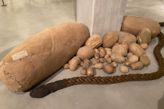 554edd9b-1fa7-4a90-a2f5-3e649e8d9968