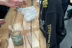 7f2e14fe-8b54-4e1b-8c77-37c45c05abb7