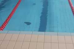 5dd97138-5ea8-4a09-9eb6-59f7d0ab7edc