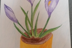 -2623423899400991951 (3)