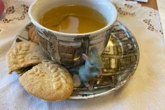 PHOTO-2025-03-10-20-38-17