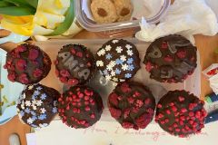 PHOTO-2025-03-10-20-38-19-2