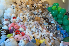 0a888c98-c7d4-455c-a3e2-ae62d749098c