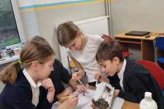 PHOTO-2024-11-19-16-41-26