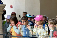 b9a74d1d-203b-413c-8d22-66c8ea88a341