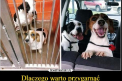 PHOTO-2025-03-26-14-31-20