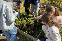 58a7cfcf-3520-4eed-821e-7bdaa374881b