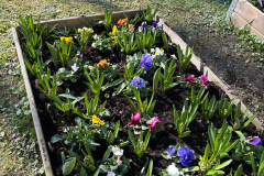 d7c2ff48-ad75-4631-8b2f-79128e343af6